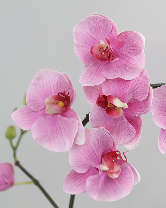 Real Touch Faux Orchids Realistic Fake Orchids Fake Flowers Real touch faux orchids realistic fake orchids fake flowers