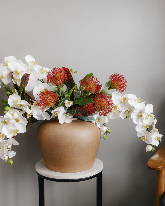 White Orchids with Orange Protea Tropical Flower Arrangement