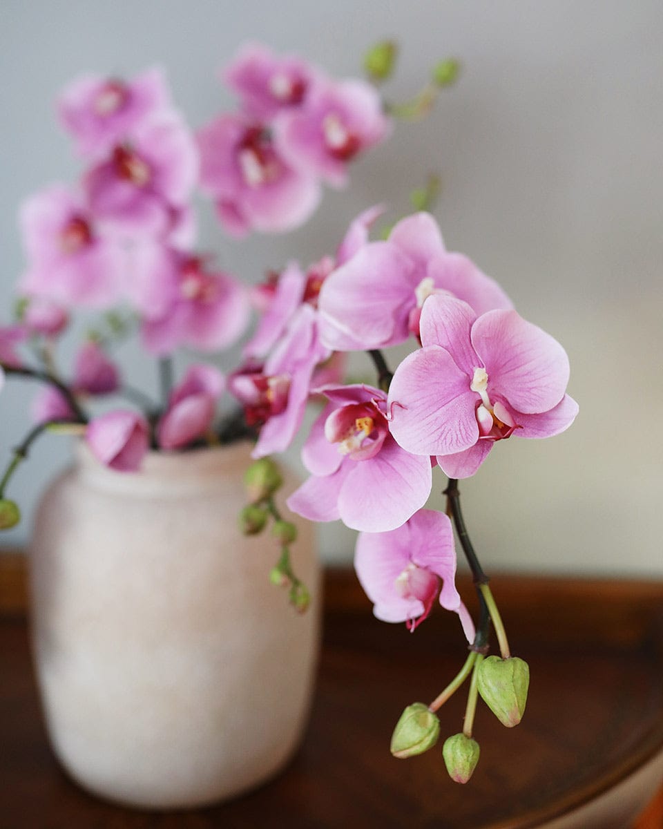 Close Up Image of Pink Artificial Orchid Blooming Stems