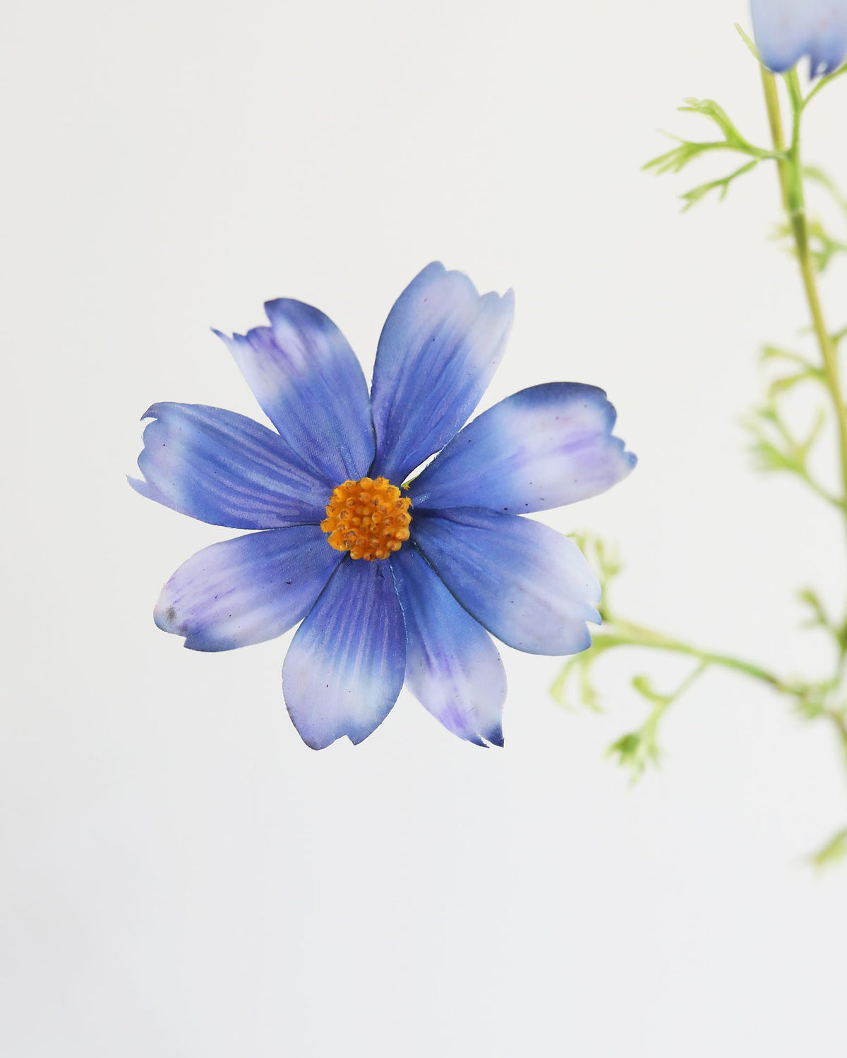 Artificial Real Touch Blue Cosmos close up