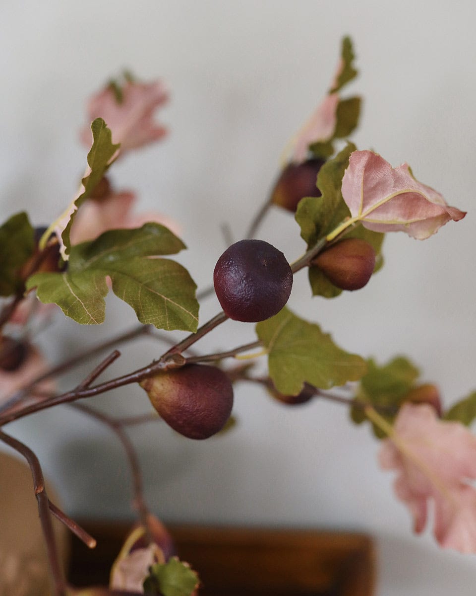 Close Up Image of Artificial Fig Fruits
