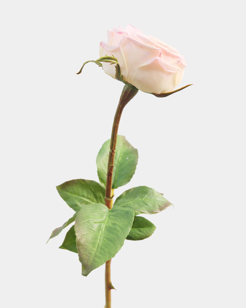Rose Flower Head Real Touch Roses