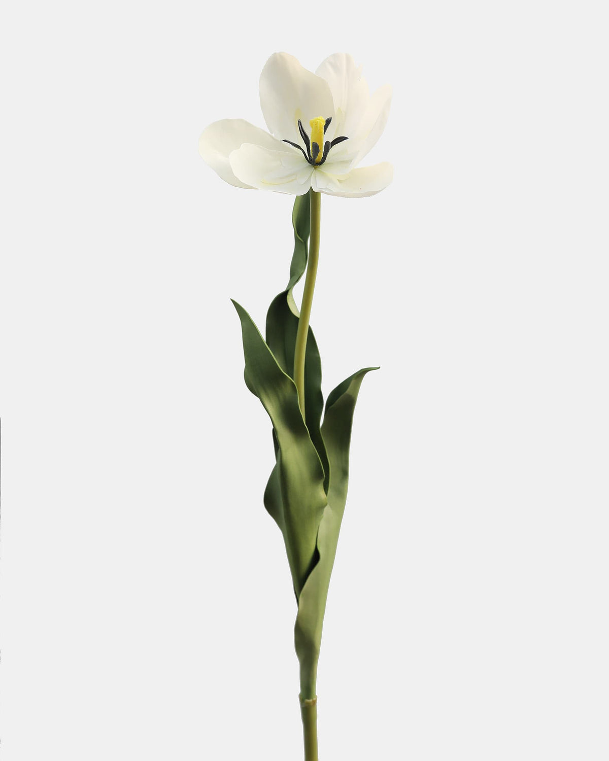 Artificial Cream White Tulip with open flower
