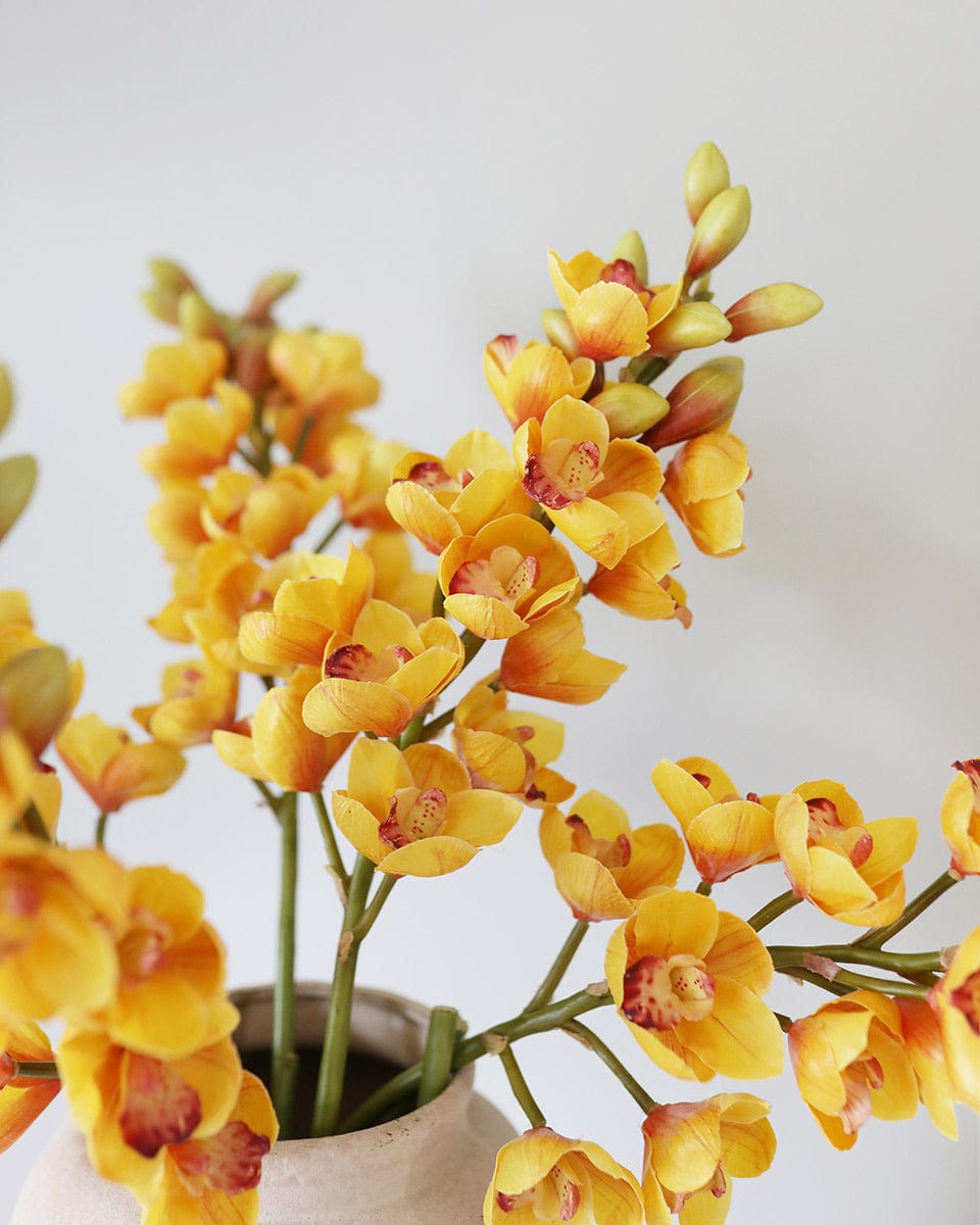 Fake Yellow Cymbidium Orchid Blossoms
