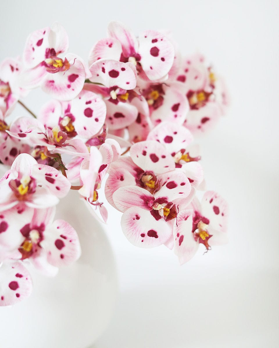 Pink and White Faux Orchids Home Decor Styled\ in Vase