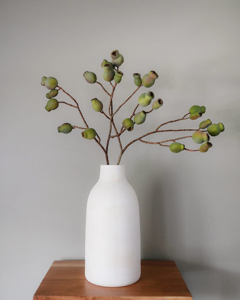Fake Pods in Green Eucalyptus Pods