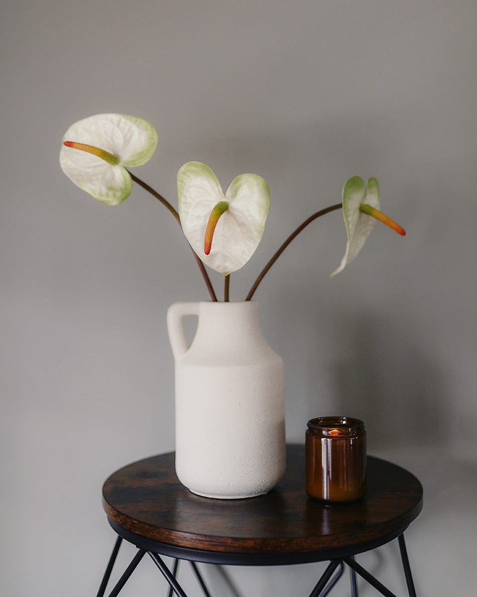 Tropical Flower Cream White Anthuriums in Vase