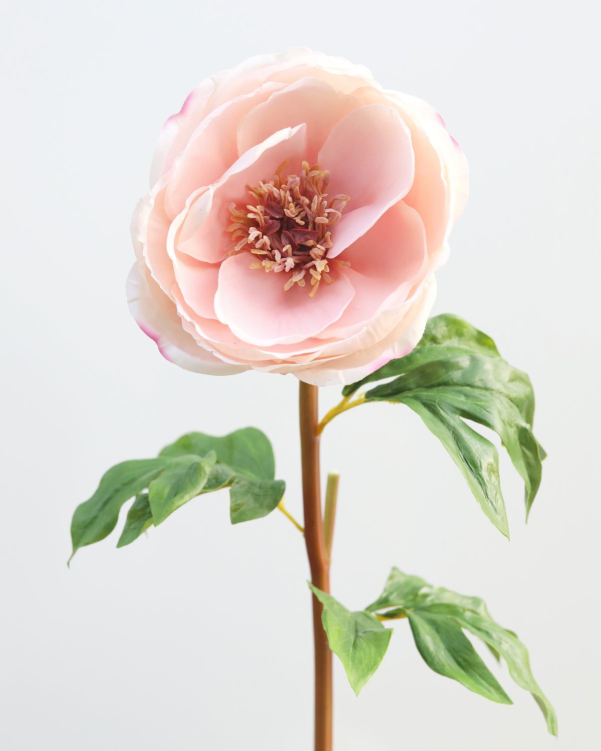 Faux Real Touch Open Pink Peony close up