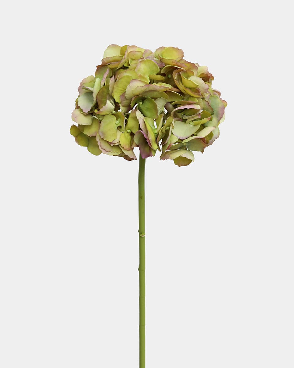 Prestige Botanicals pb-stem Artificial Green Dry Hydrangea