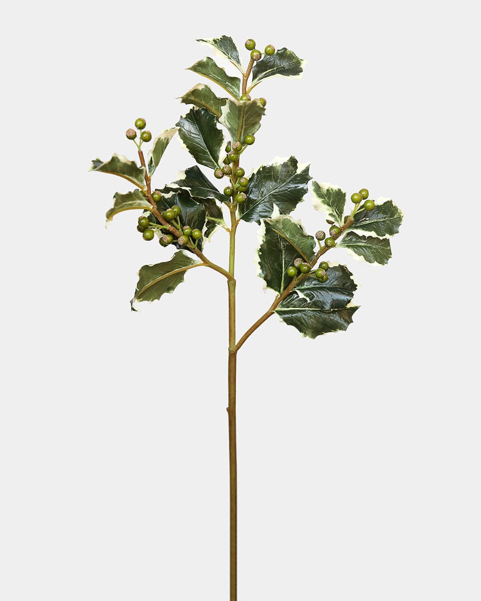 Artificial Holly Green Berries with Variegated Leaves