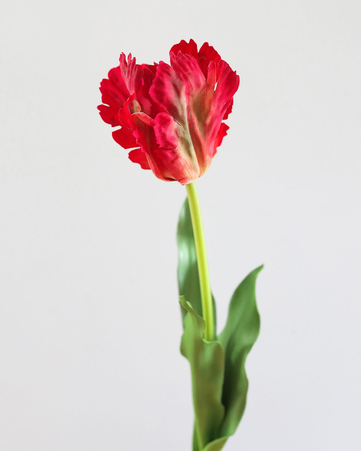A single red faux tulip with ruffled petals and a green stem, photographed against a plain light gray background.