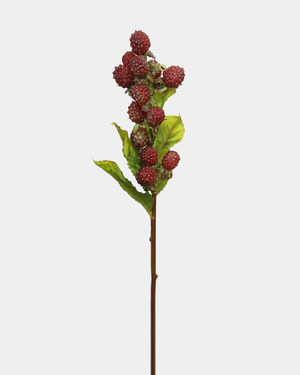 Prestige Botanicals pb-stem Artificial Raspberry stem