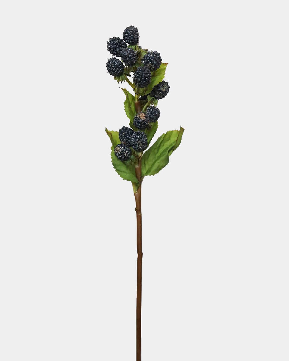 Prestige Botanicals pb-stem Artificial Blackberry stem