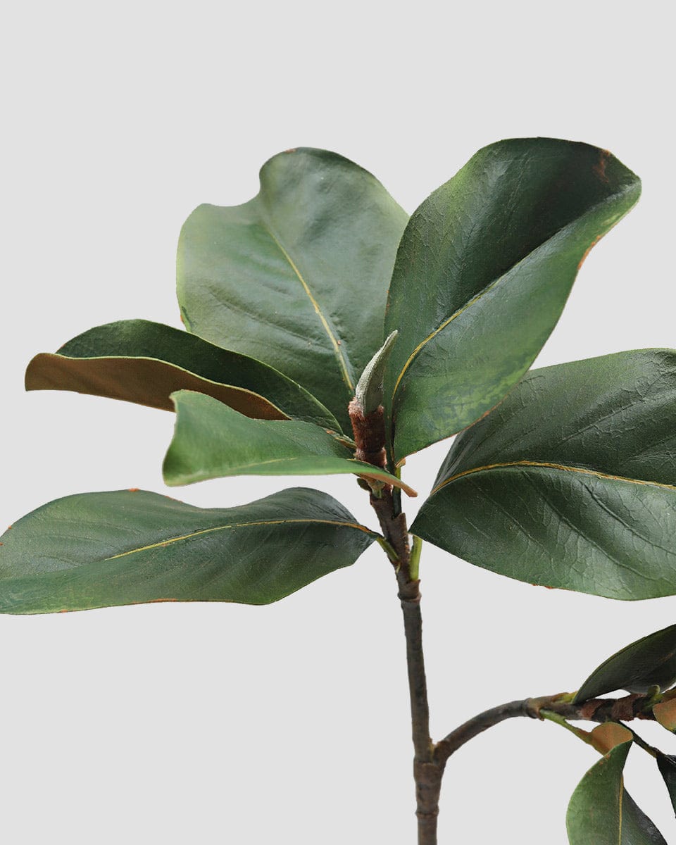 Faux Magnolia Leaves in Green Artificial Foliage
