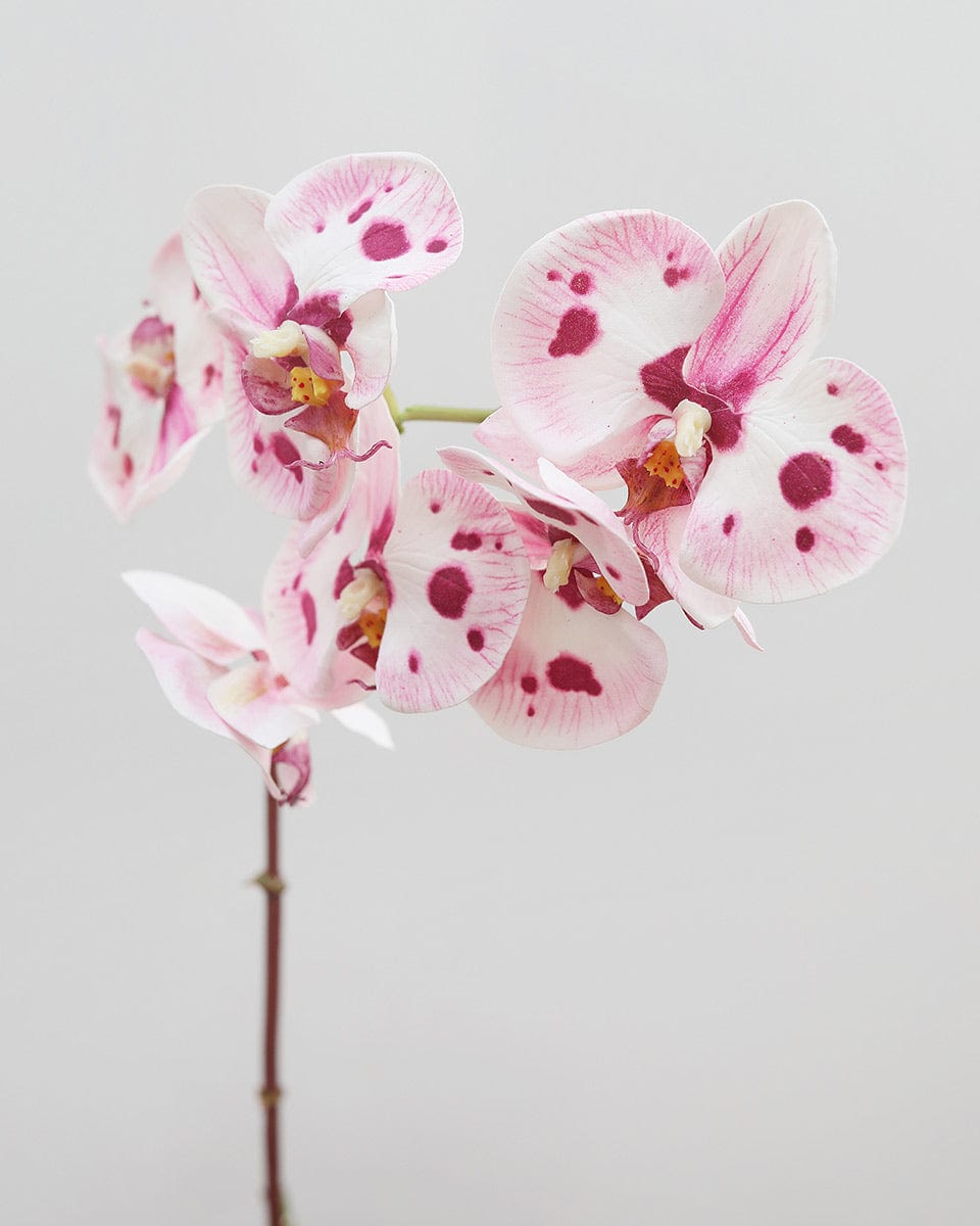 Artificial Orchids Pink and White Spotted Phalaenopsis