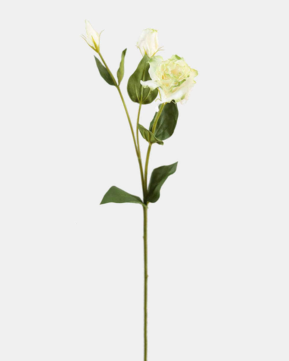 Prestige Botanicals pb-stem Artificial White and Green Lisianthus