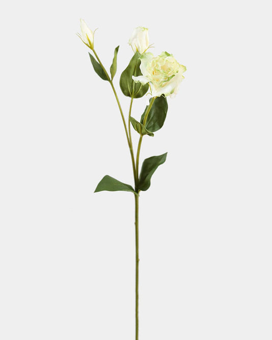 Prestige Botanicals pb-stem Artificial White and Green Lisianthus