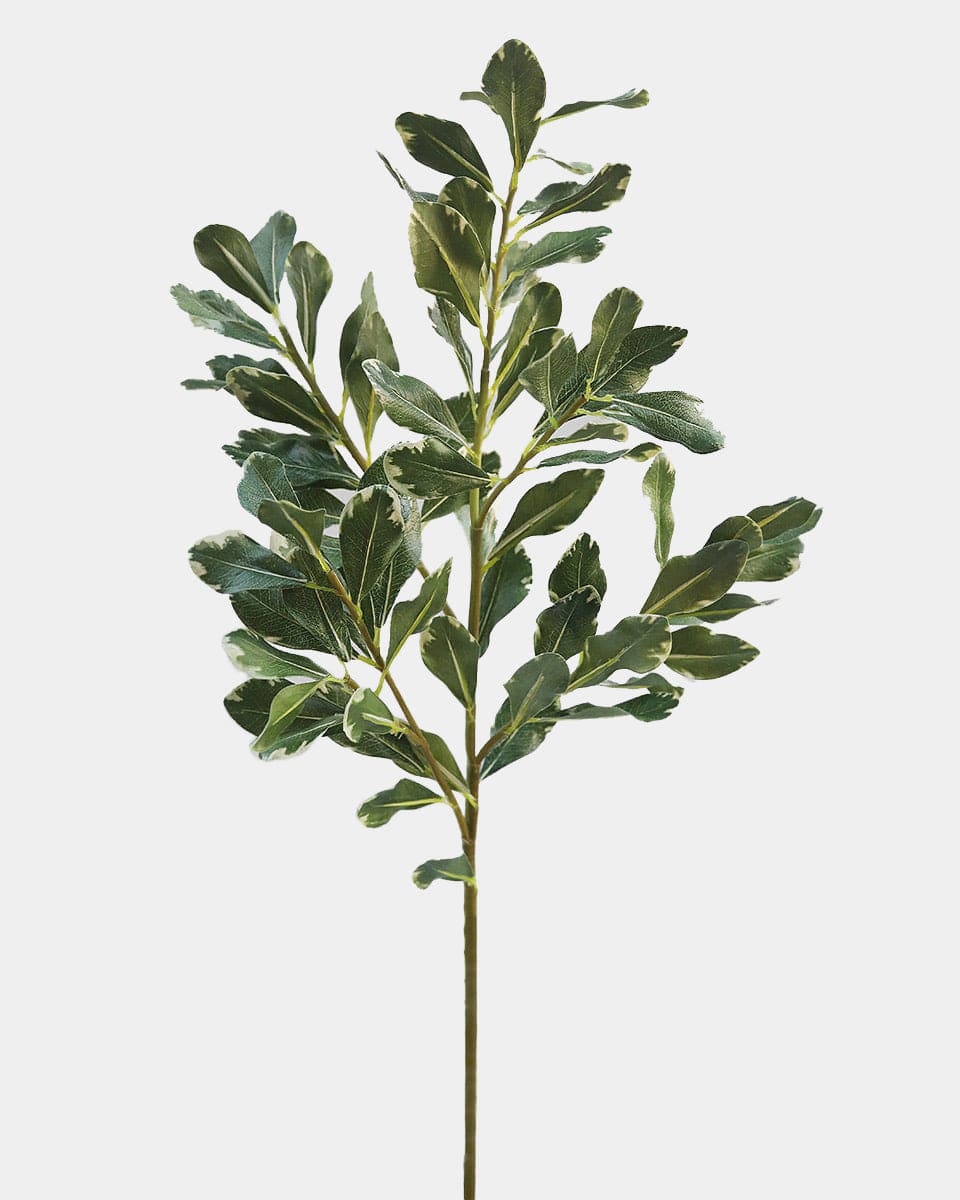 Prestige Botanicals pb-stem Artificial Long Pittosporum Faux Foliage Stem