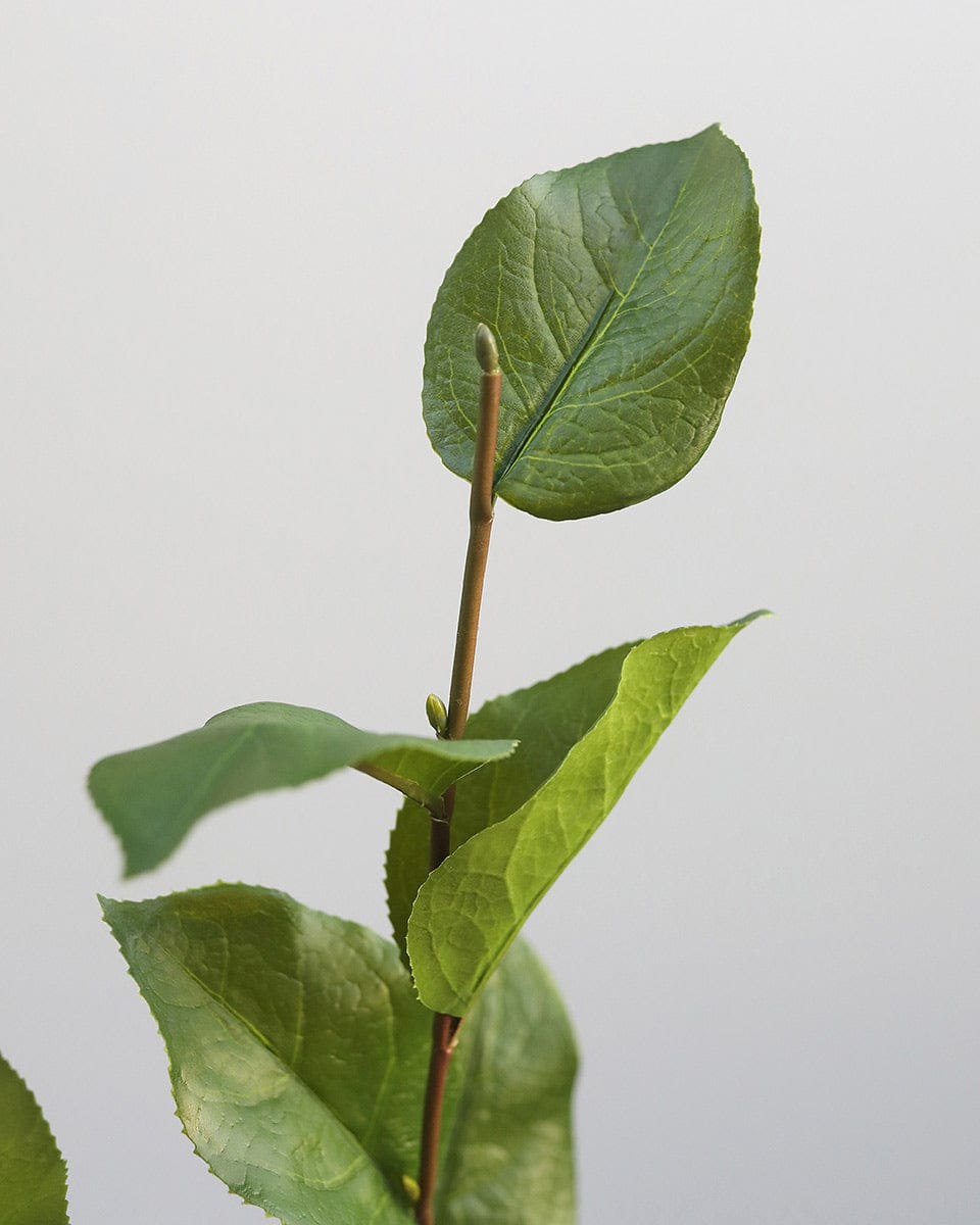 Faux Foliage Artificial Salal Leaves