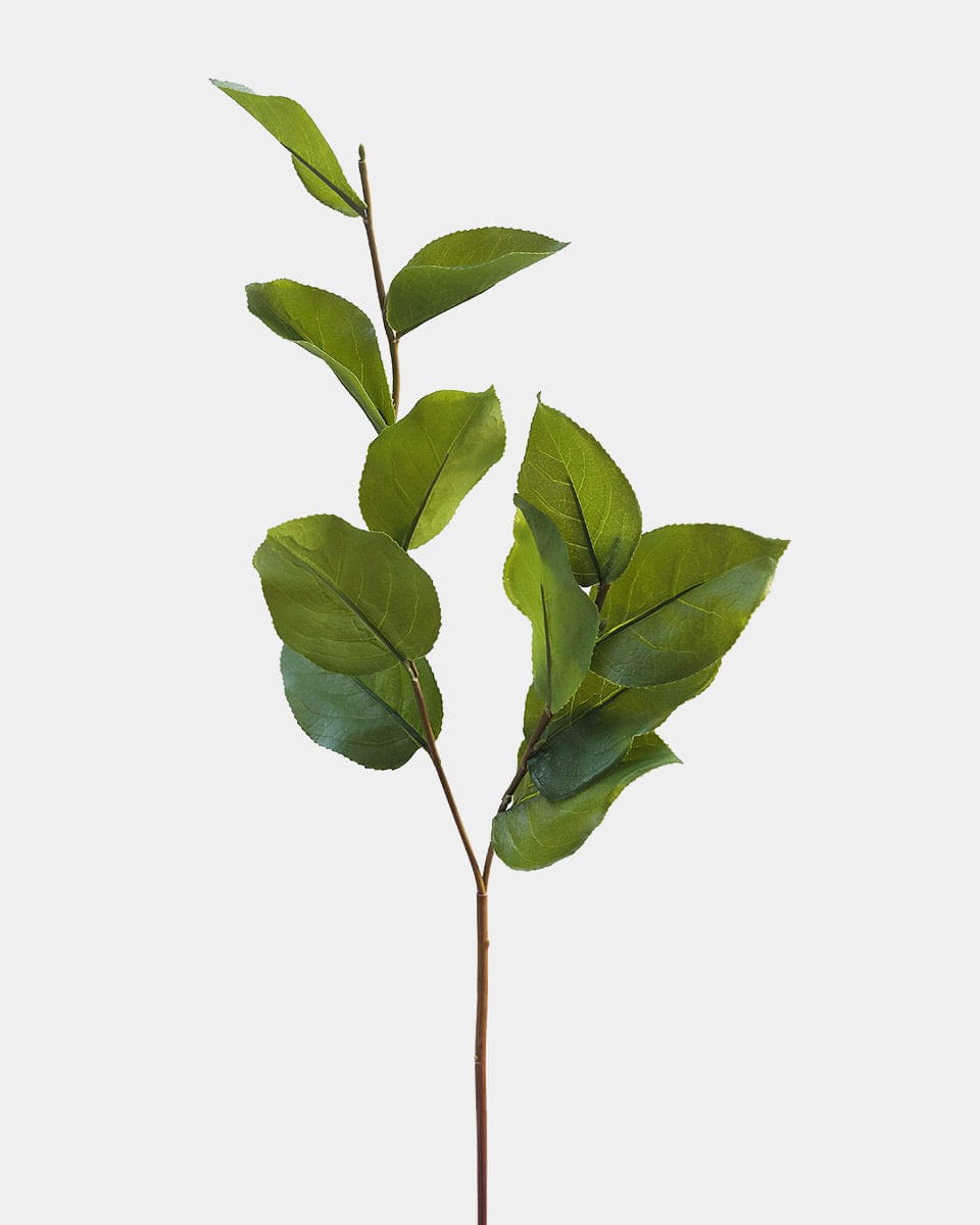 Prestige Botanicals pb-stem Artificial Salal Foliage Greenery