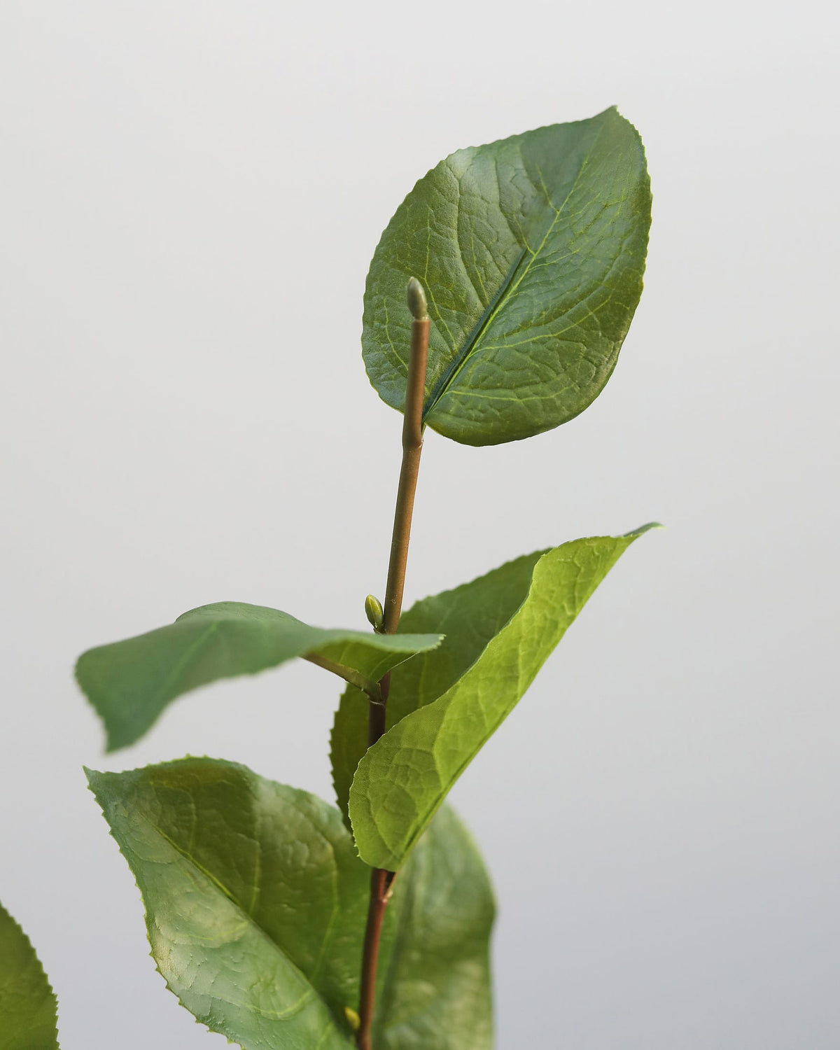 Artificial Salal Leaf Stem 23"