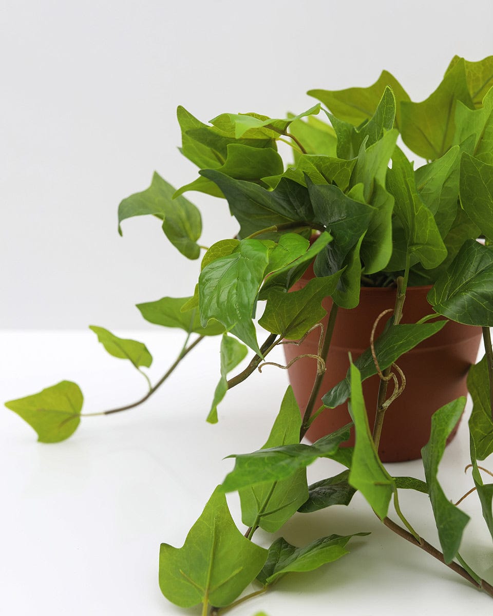 Artificial Hanging Ivy Bush