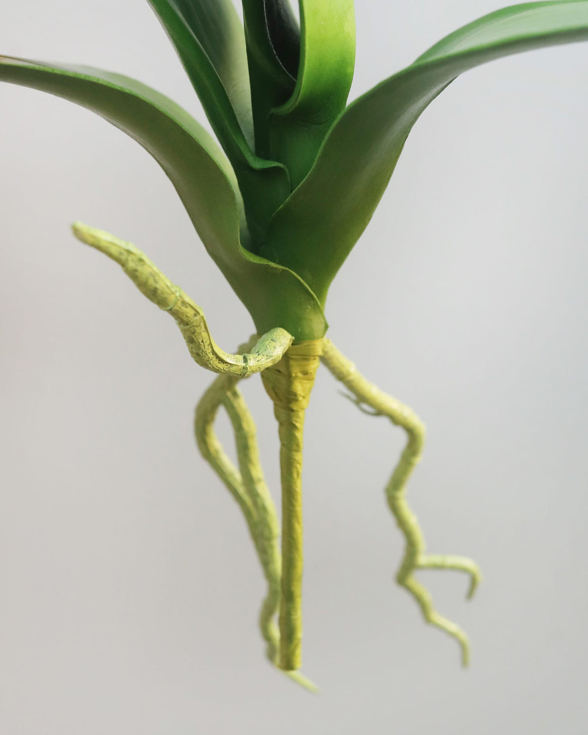 Close-up of an artificial orchid base with long, wavy pale yellow roots against a light gray background.
