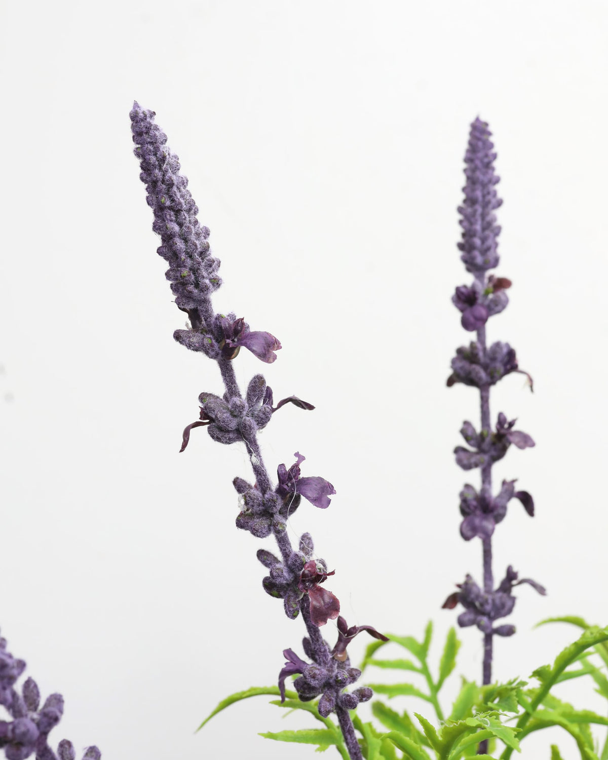 faux Purple lavender flowers on tall spikes with green leaves, photographed against a plain white background.