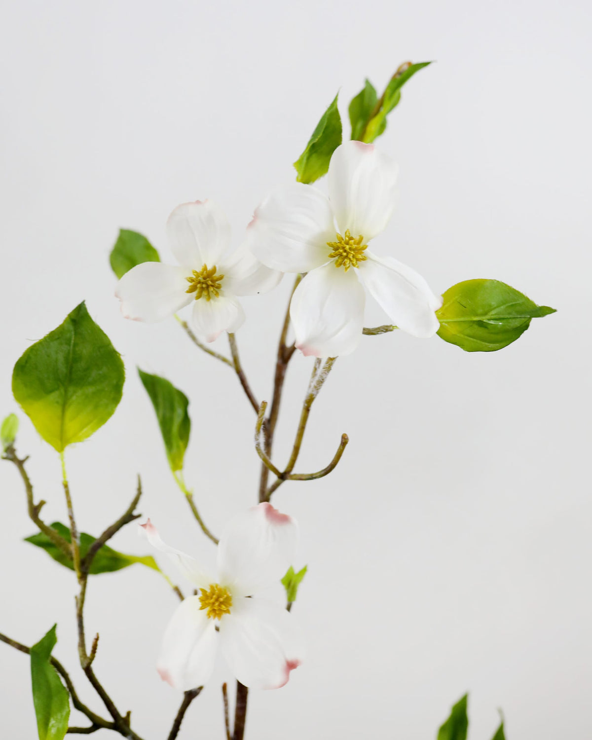 A flowering branch with three white faux dogwood blossoms, green leaves, and yellow centers on a plain light gray background.