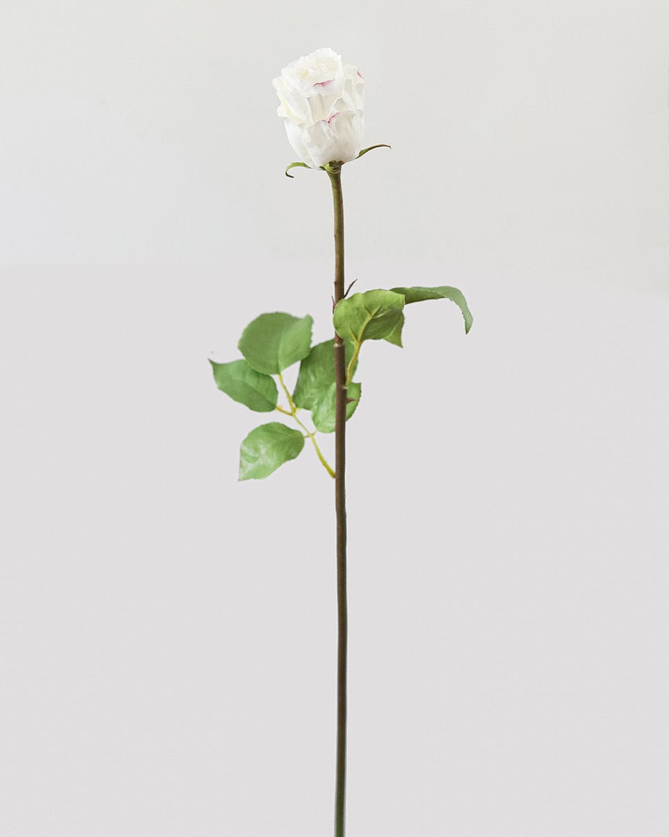 Prestige Botanicals pb-stem pb-stem Artificial White Duchess Rose Bud