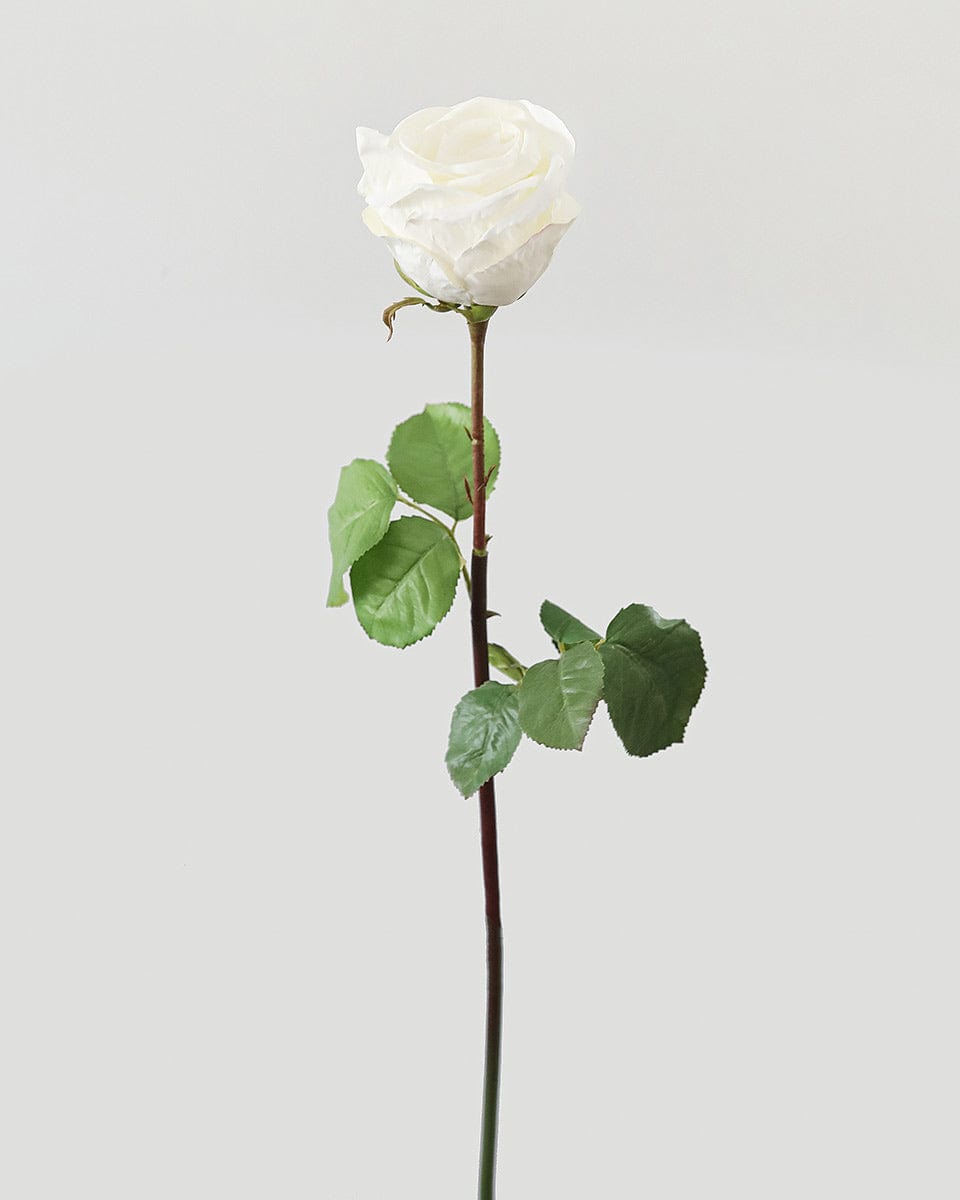 Prestige Botanicals pb-stem pb-stem Artificial Large White Ecuadorian Rose