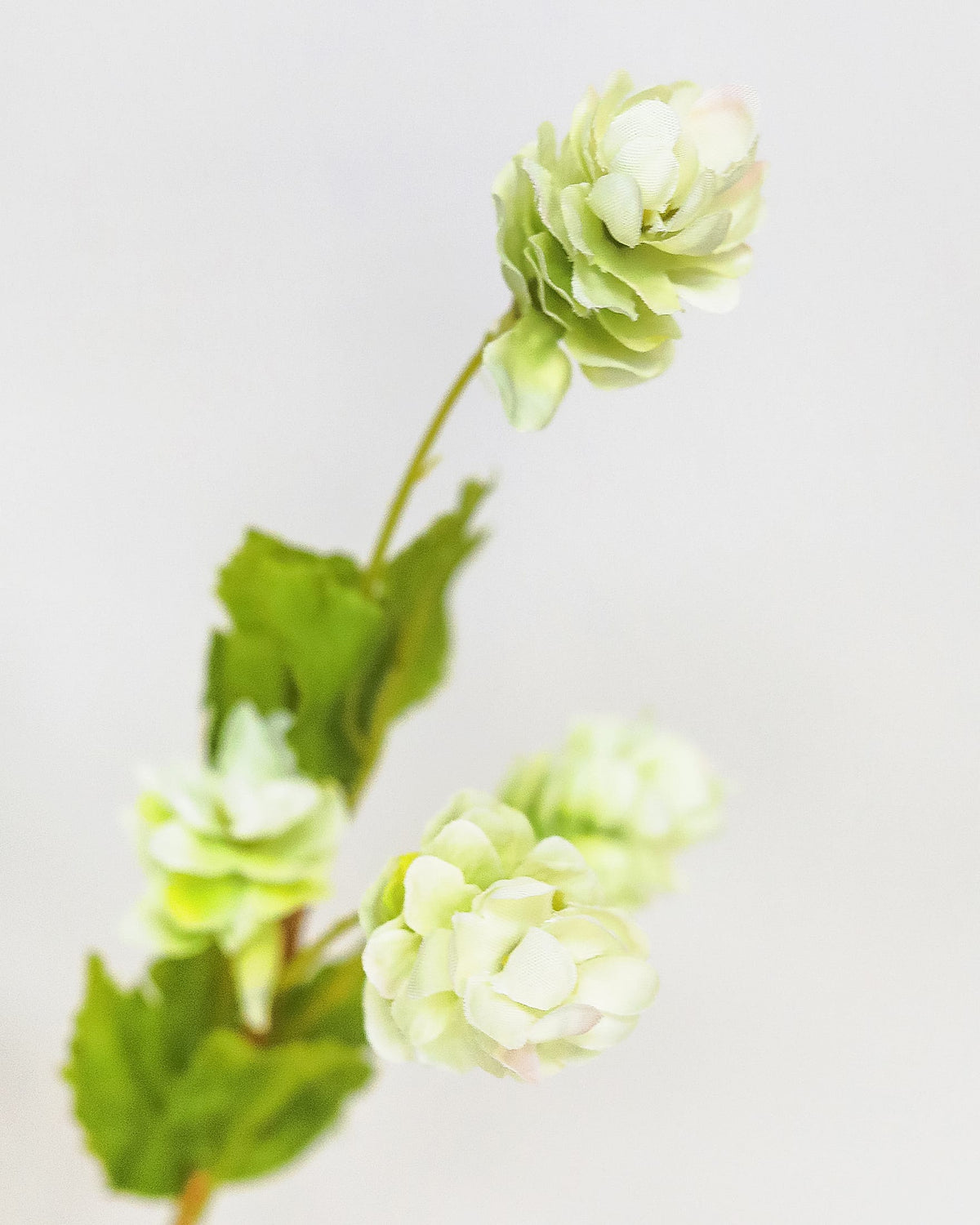 Artificial hops branch on a light gray background