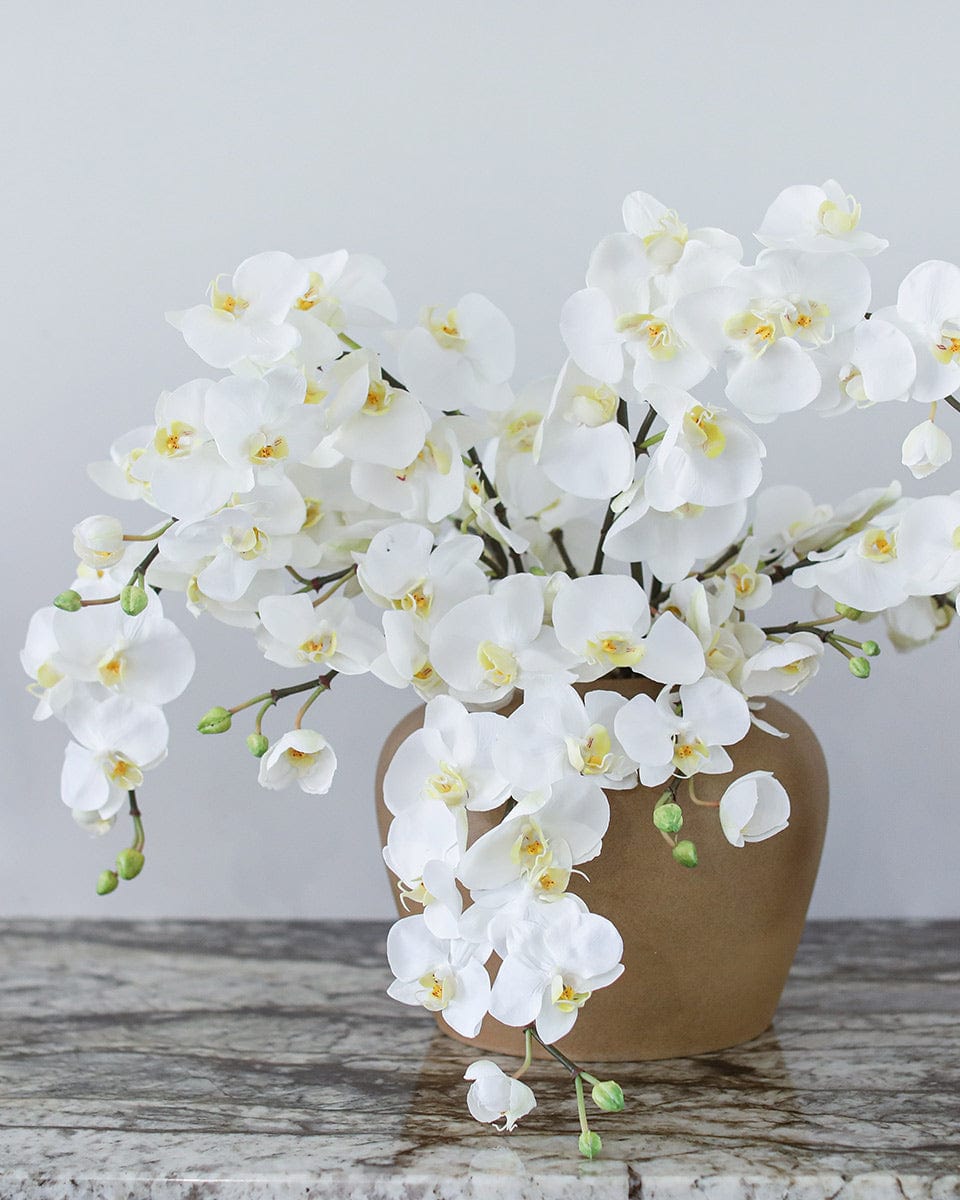 Prestige Botanicals Artificial White Spray Phalaenopsis Orchid Stems in a Ceramic Vase