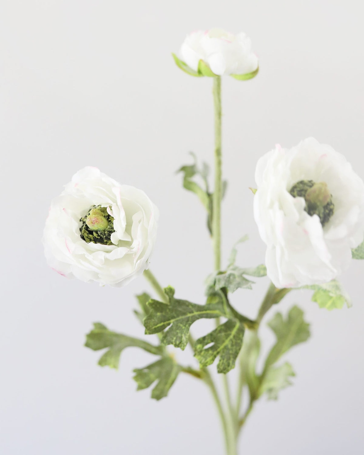 White artificial ranunculus flowers with green leaves and stems, photographed against a clean light gray background.