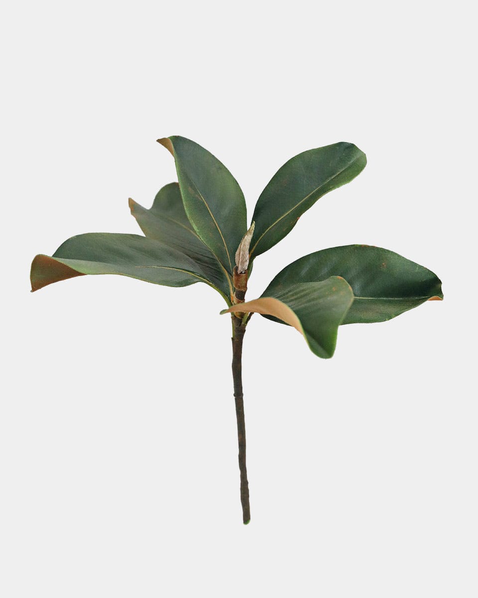 Prestige Botanicals pb-stem Artificial Medium Magnolia Leaf Spray Stem