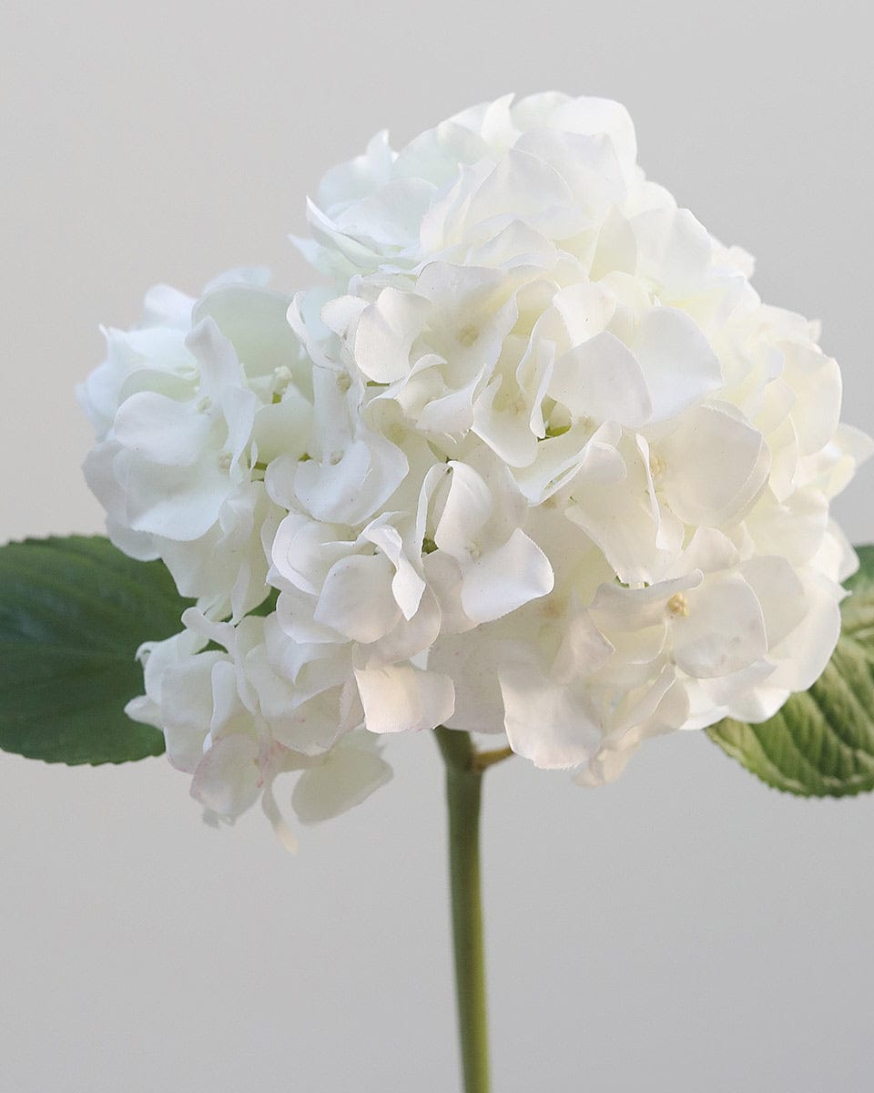White Real Touch Artificial Hydrangea