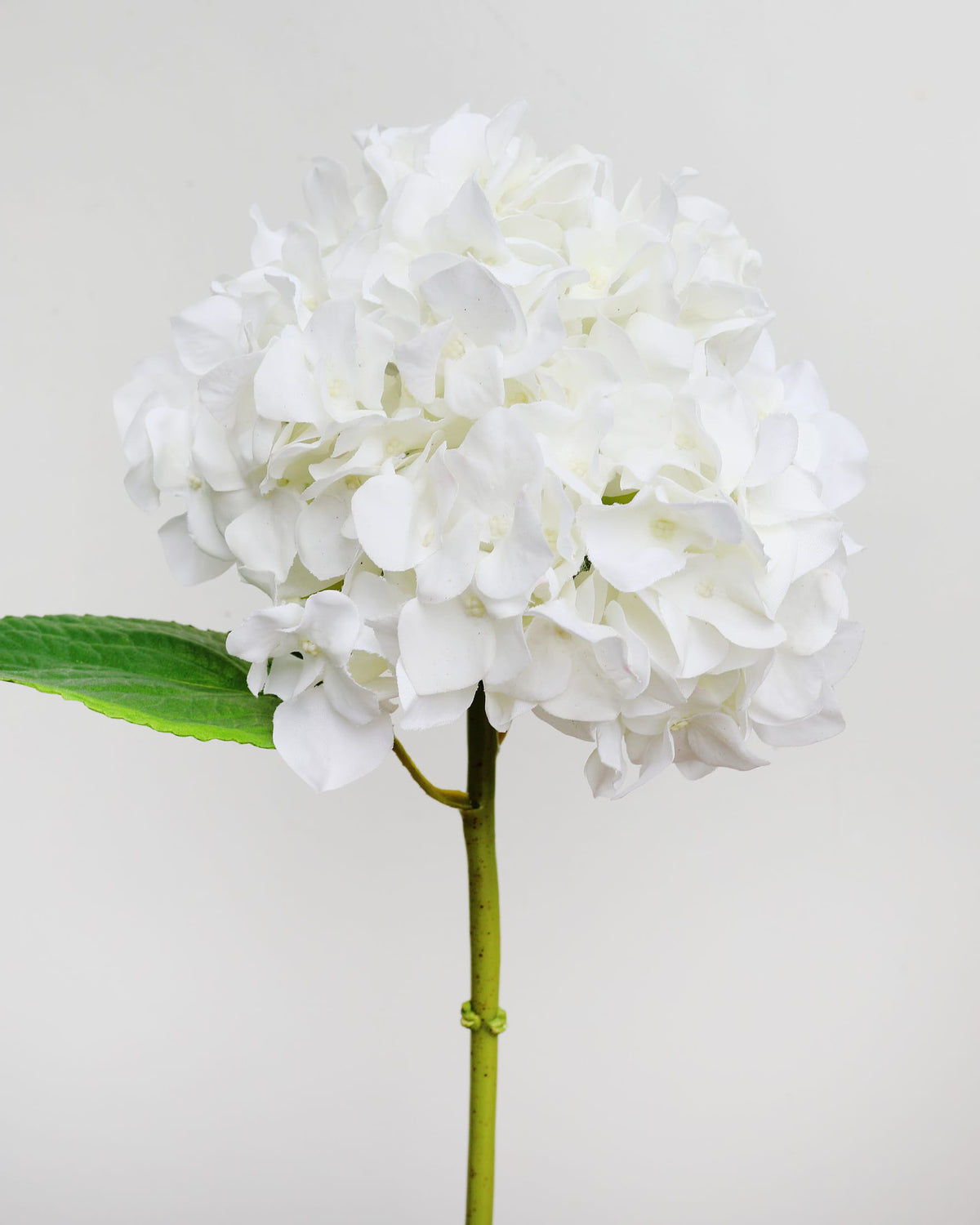 White faux hydrangea flower with a green leaf on a light gray background