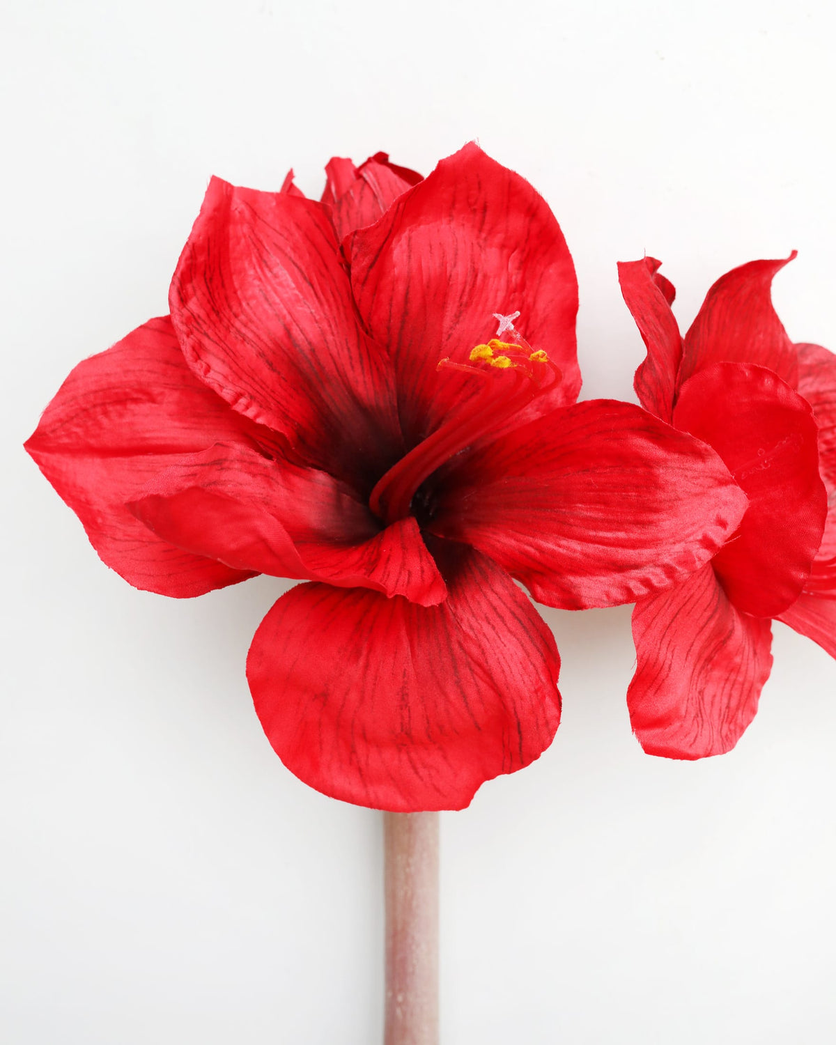 Red Faux Amaryllis close up