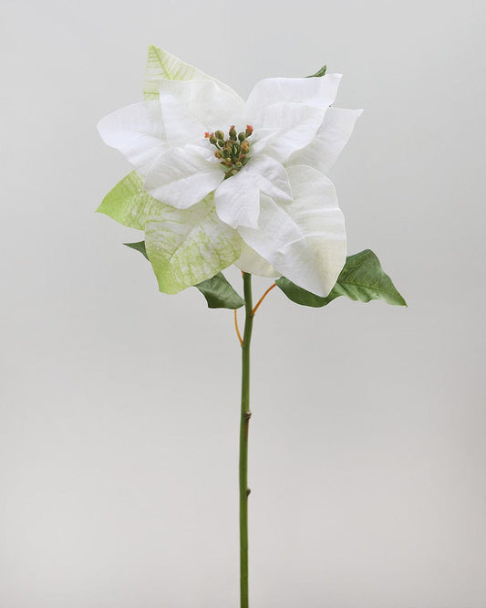Prestige Botanicals pb-stem Artificial White Poinsettia