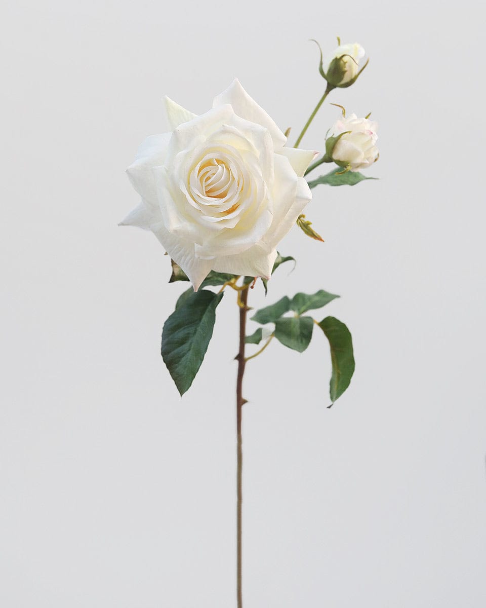 Prestige Botanicals pb-stem pb-stem Artificial Real Touch White Rose pb-stem