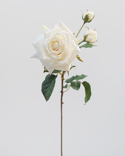 Prestige Botanicals pb-stem pb-stem Artificial Real Touch White Rose pb-stem
