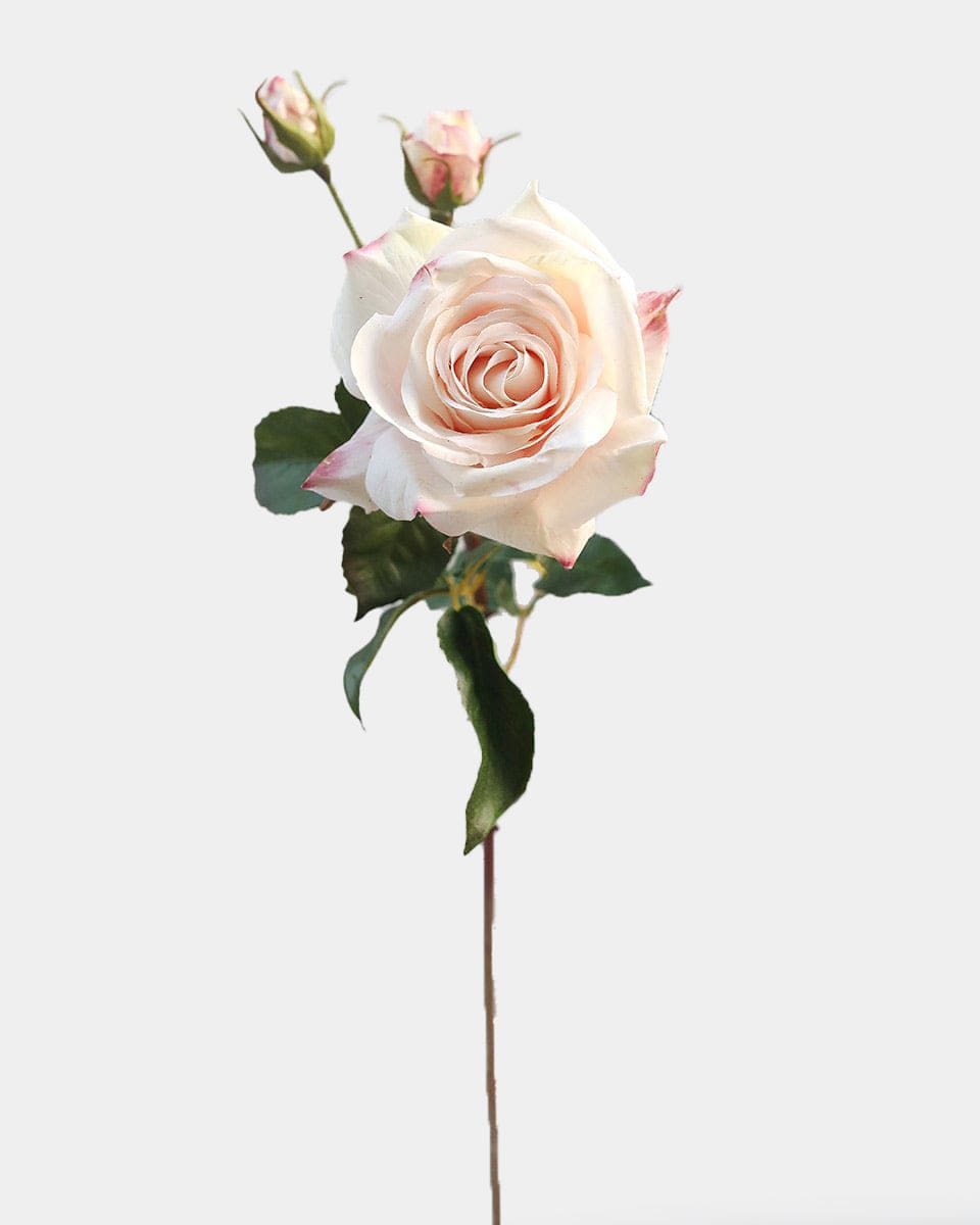 Prestige Botanicals pb-stem pb-stem Best Artificial Real Touch Pink Rose
