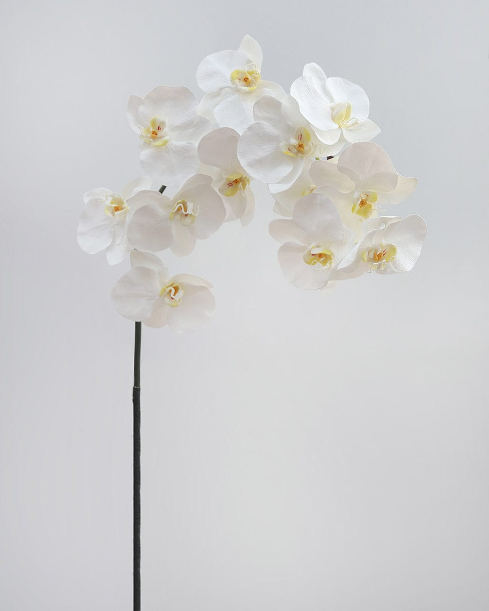 Prestige Botanicals pb-stem Artificial Long White Phalaenopsis Orchid Stem