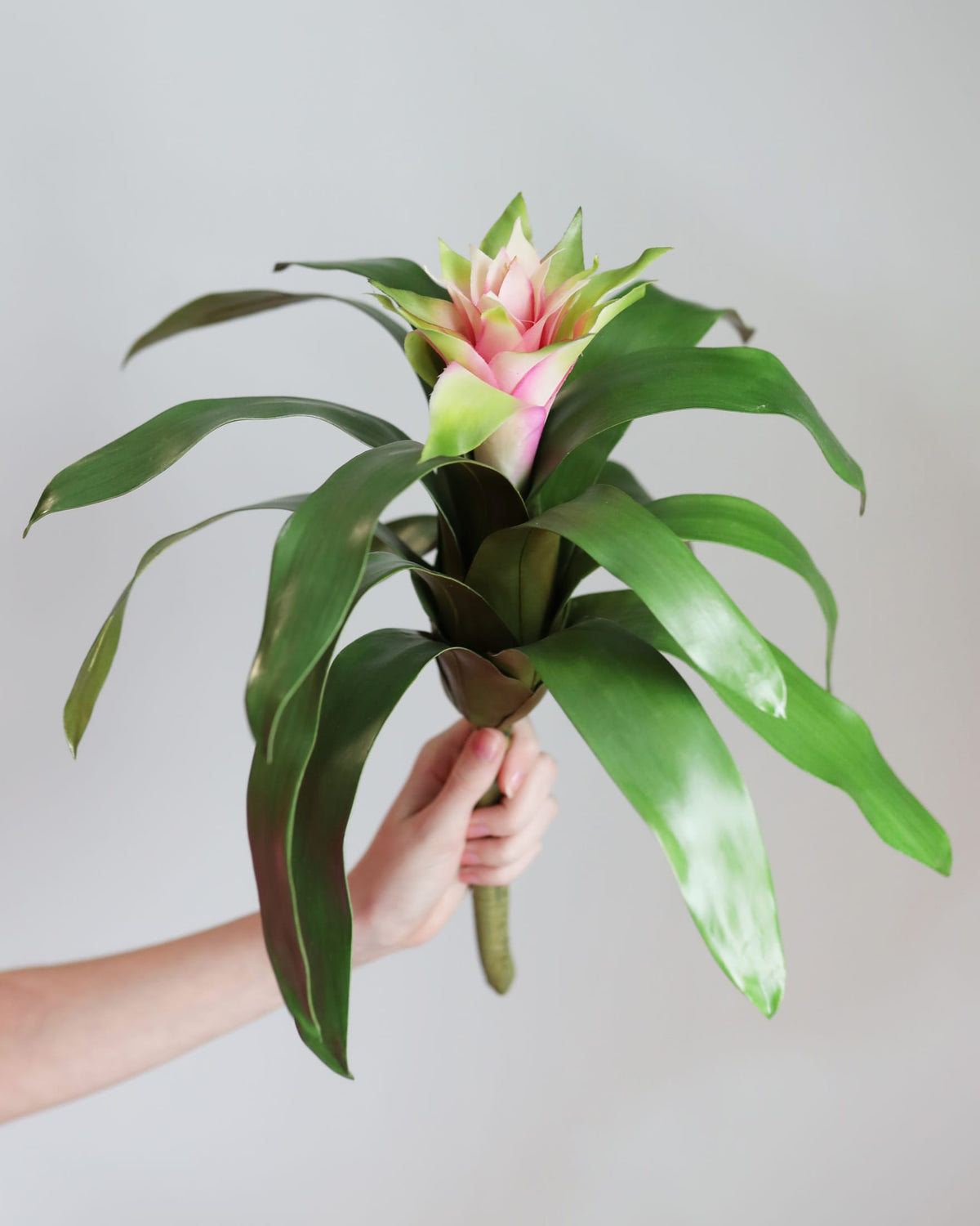 Hand holding a Faux Bromeliad Plant