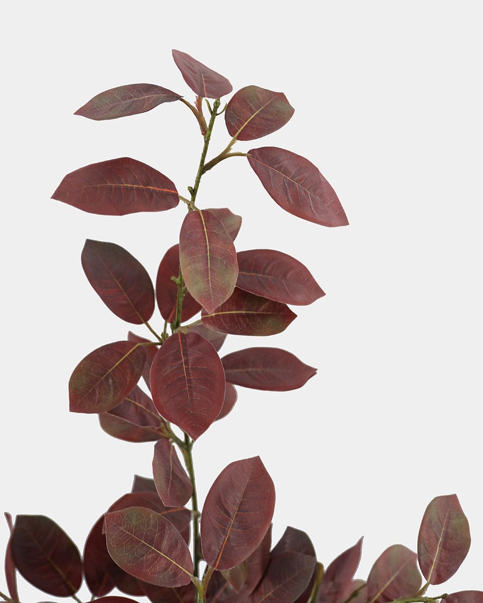 Close Up Image of Burgundy Faux Smoketree Leaf Stem
