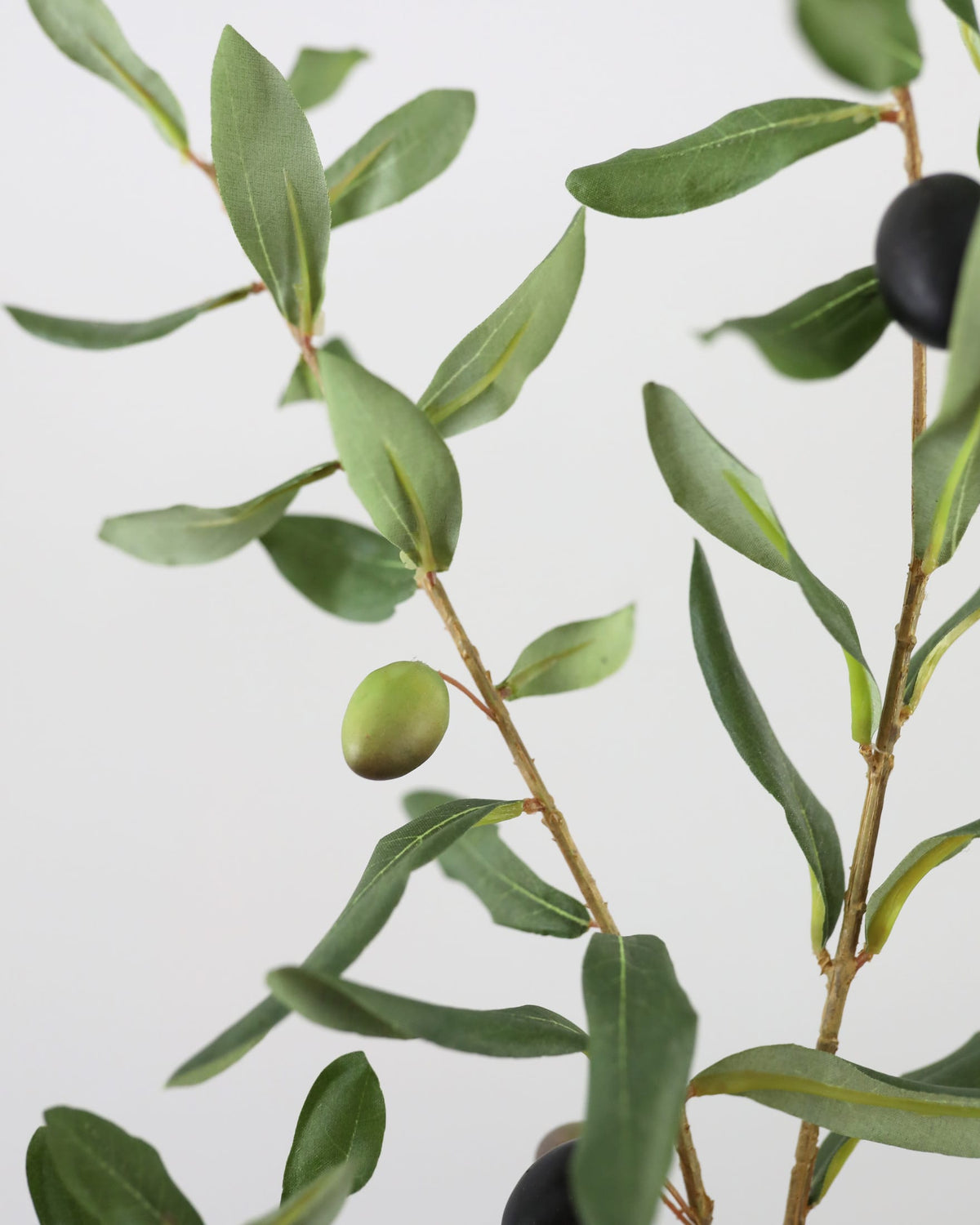 Large Olive Branch 46"