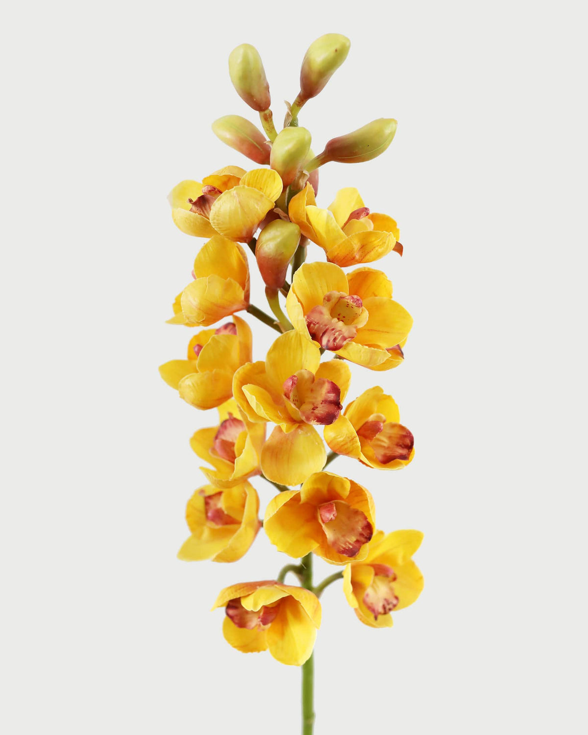 Faux Yellow Cymbidium Orchid stem close up