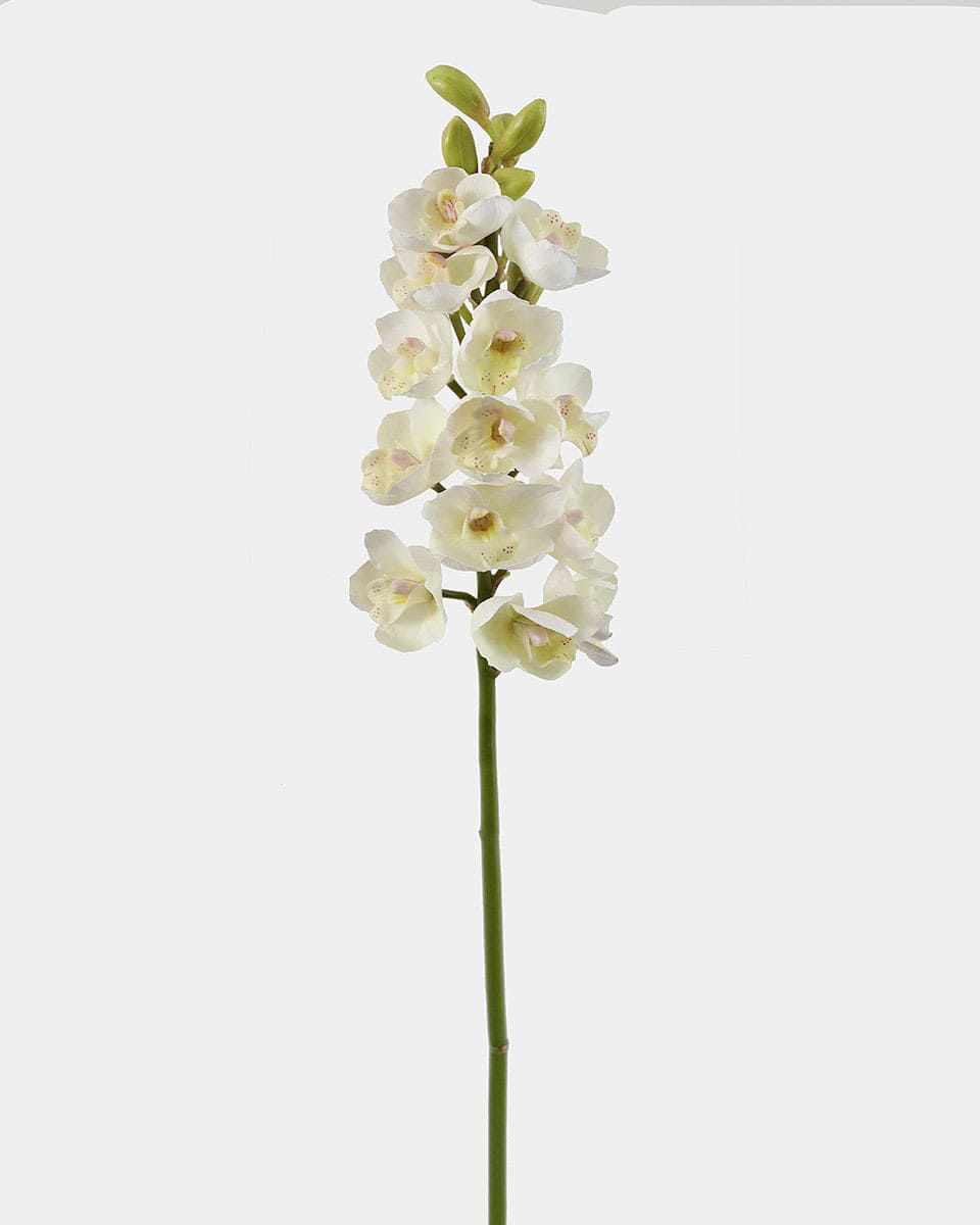 Artificial Orchids Cream Cymbidium Stem