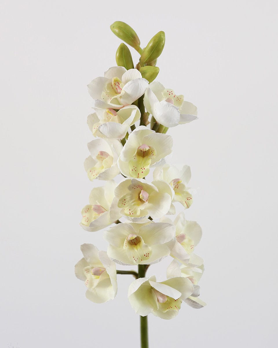 Details of Cream Colored Fake Cymbidium Orchid Blooms