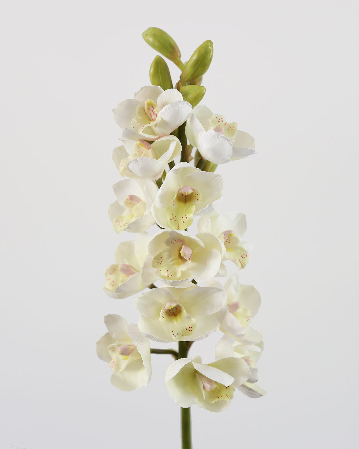 Faux Cream Cymbidium Orchid close up